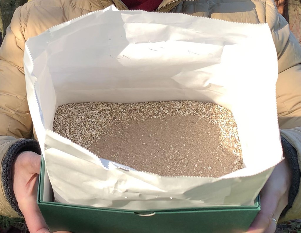 A year after scattering my fathers ashes, we went to see if there was any trace left.